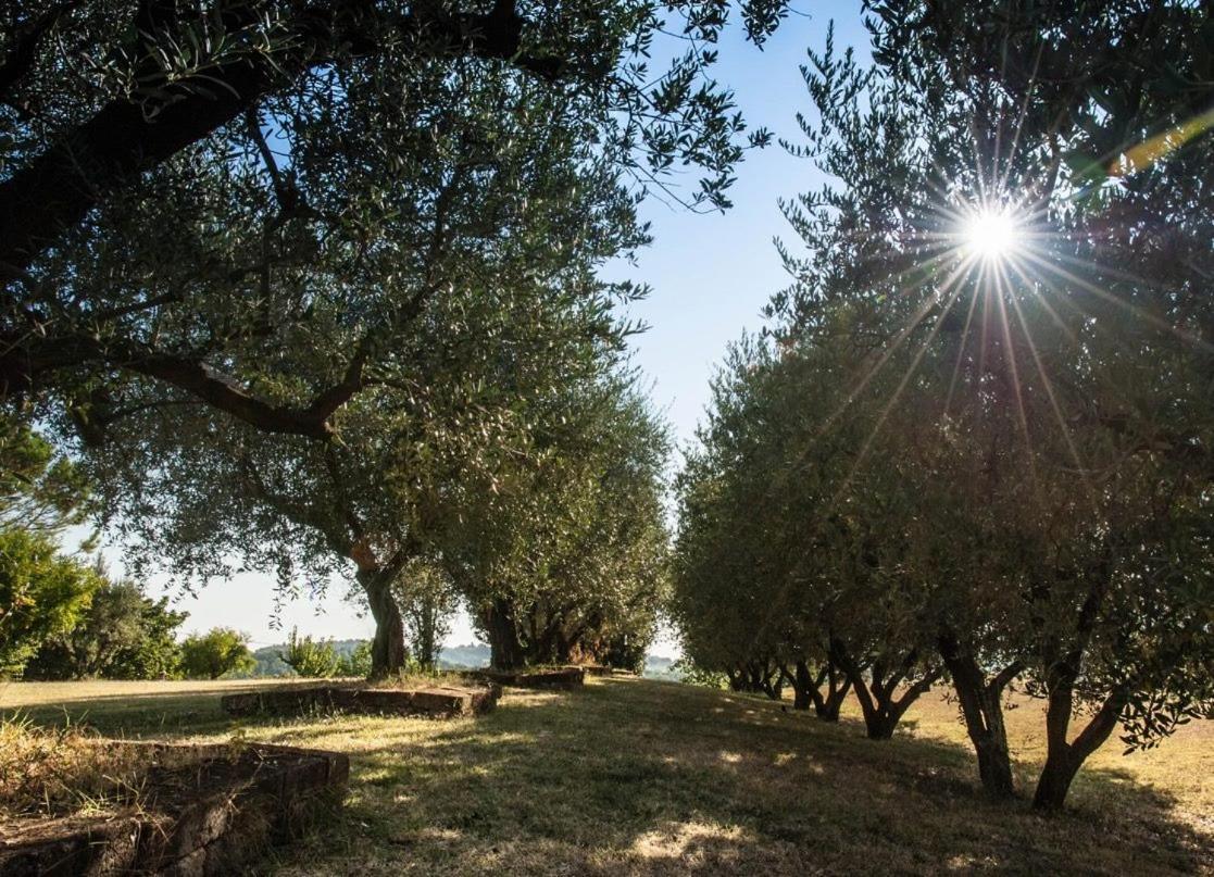 B&B Madonna Degli Angeli Fano Luaran gambar